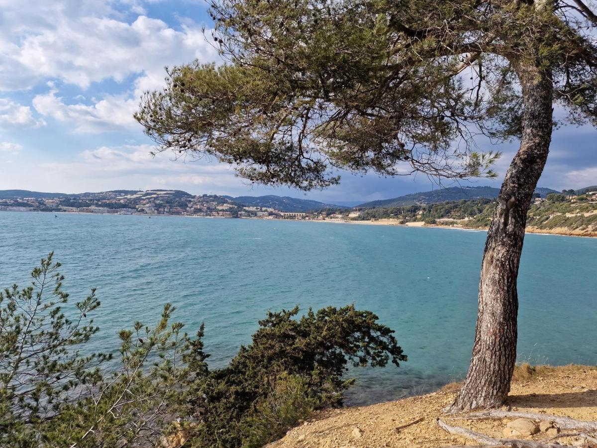 Sanaritz Sanary-sur-Mer Exterior foto